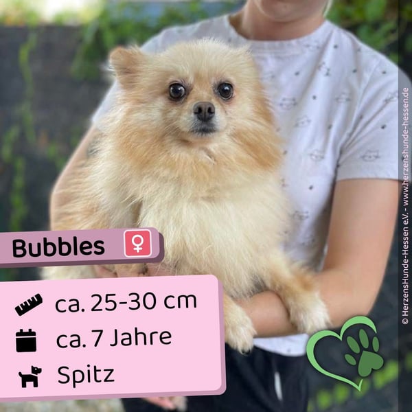 Bubbles